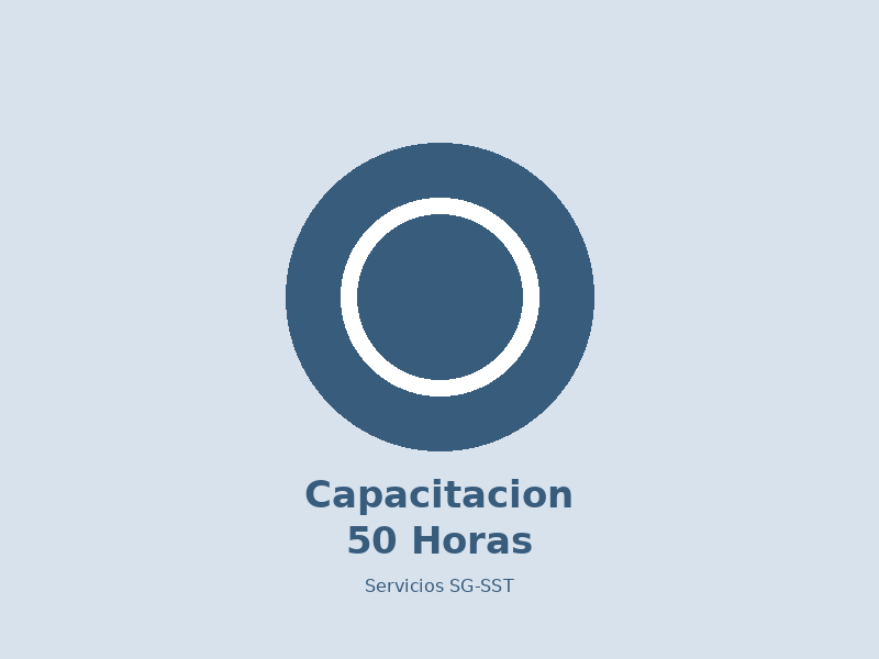 Capacitacion y curso de 50 horas en SST